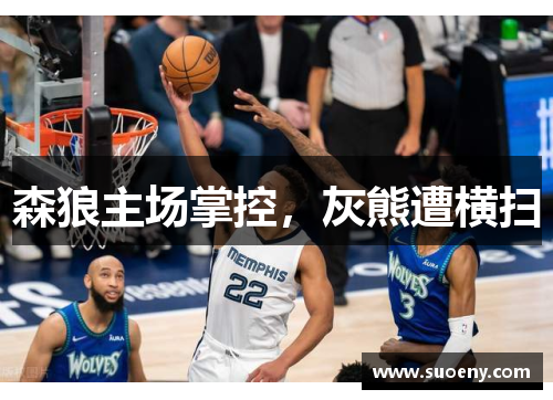 森狼主场掌控，灰熊遭横扫